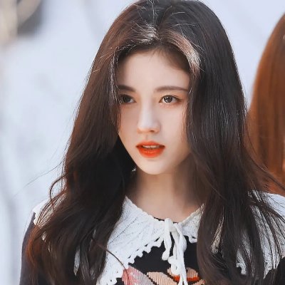 与鲸共舞第一季